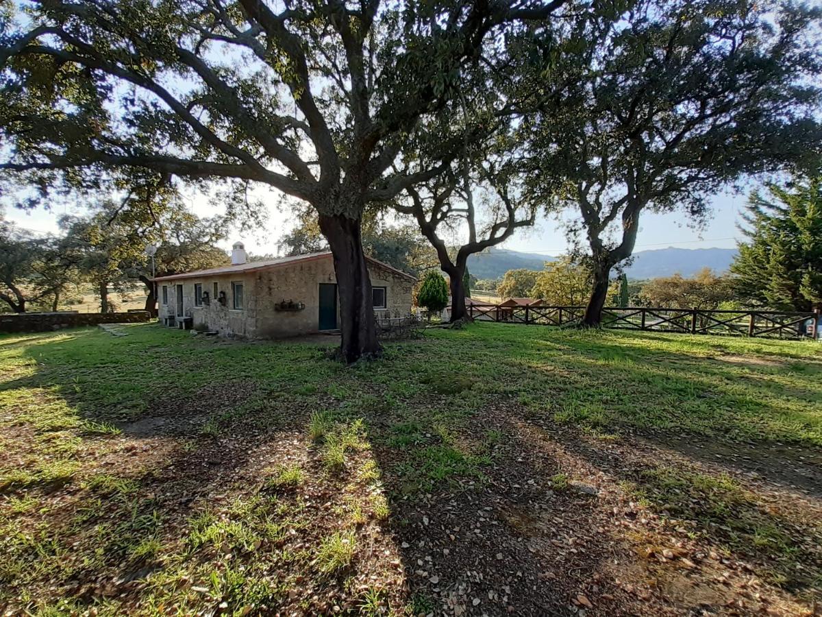 Villa Casa Da Vinha à Castelo Novo Extérieur photo