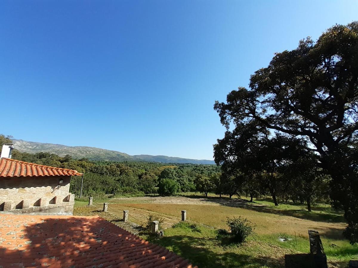 Villa Casa Da Vinha à Castelo Novo Extérieur photo