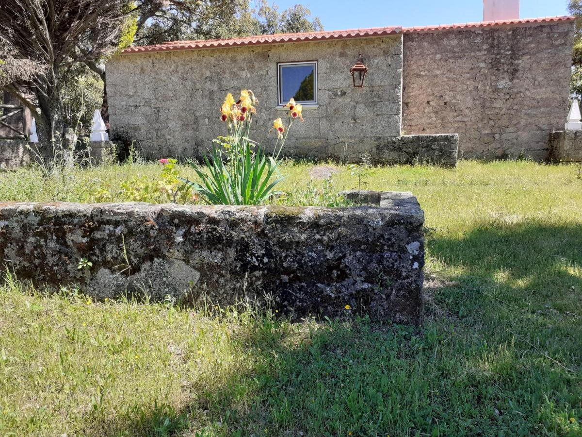 Villa Casa Da Vinha à Castelo Novo Extérieur photo