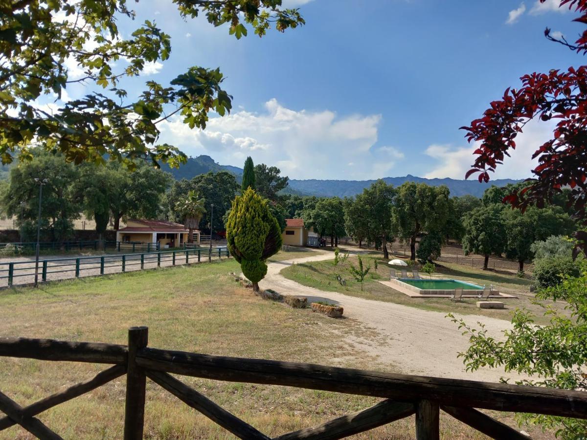 Villa Casa Da Vinha à Castelo Novo Extérieur photo