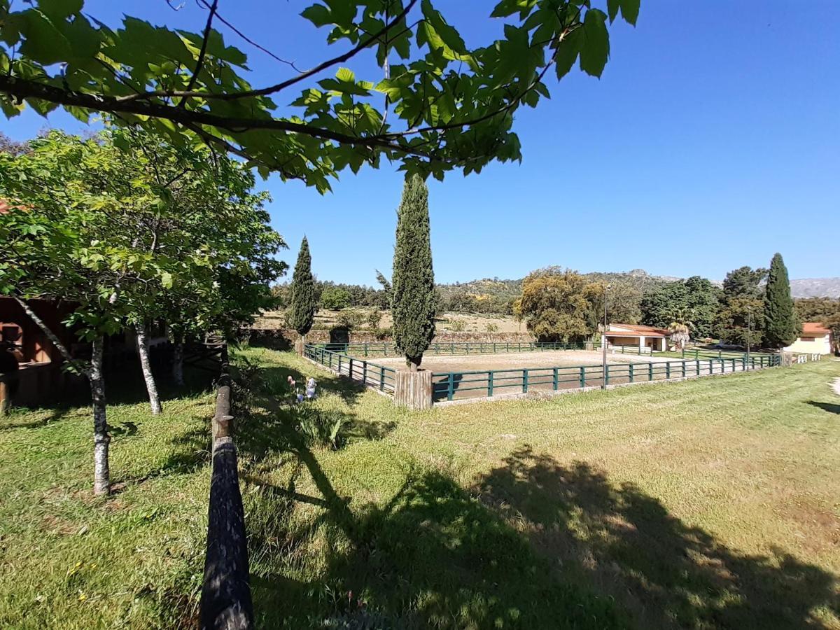 Villa Casa Da Vinha à Castelo Novo Extérieur photo