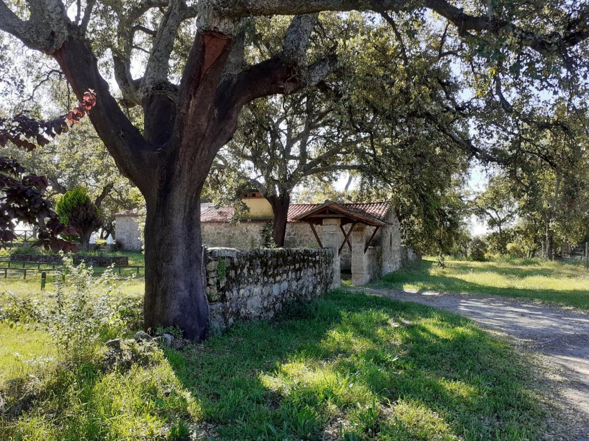 Villa Casa Da Vinha à Castelo Novo Extérieur photo