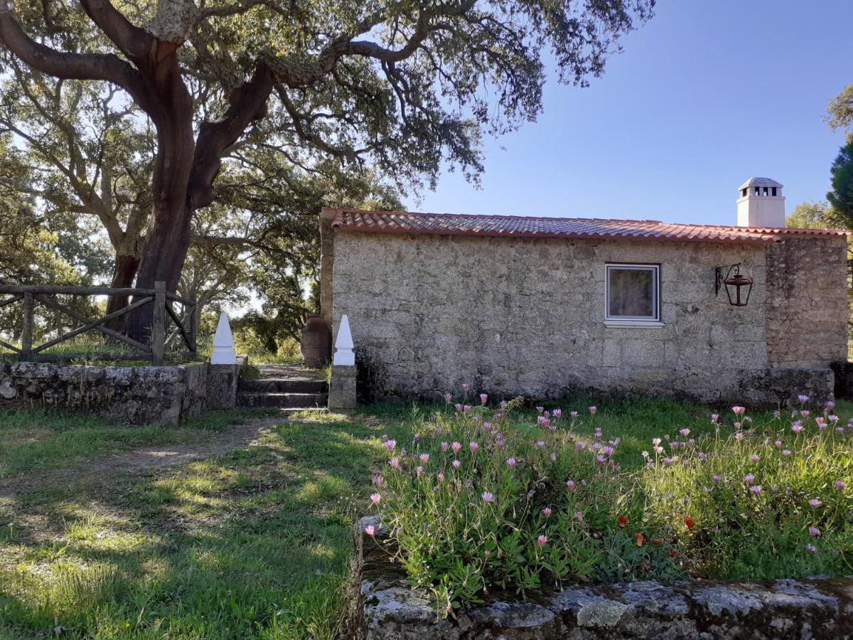 Villa Casa Da Vinha à Castelo Novo Extérieur photo