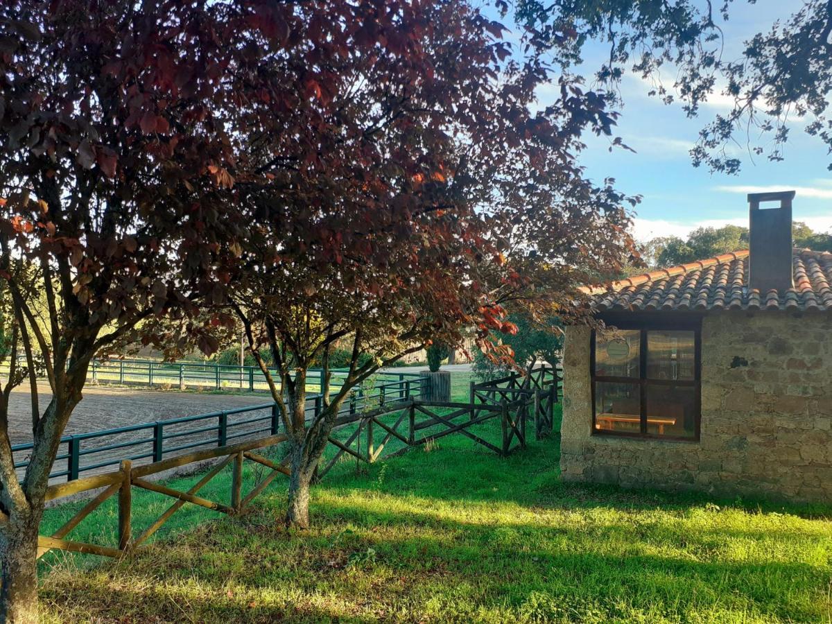 Villa Casa Da Vinha à Castelo Novo Extérieur photo